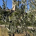 House In Seggio, Peace In The Heart Of Umbria *