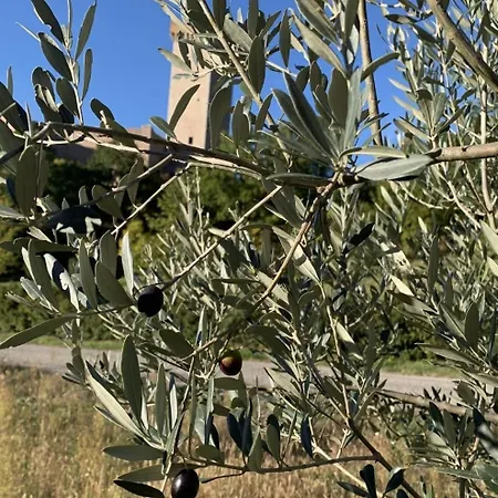 House In Seggio, Peace In The Heart Of Umbria *